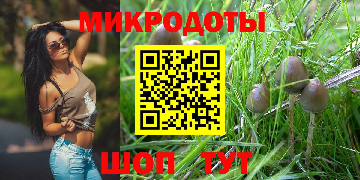 Галлюциногенные грибы MAGIC MUSHROOMS Урус-Мартан
