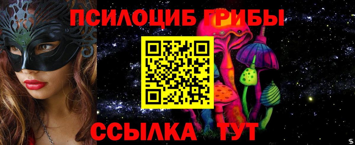 Псилоцибиновые грибы прущие грибы  Вход с VPN  Урус-Мартан 